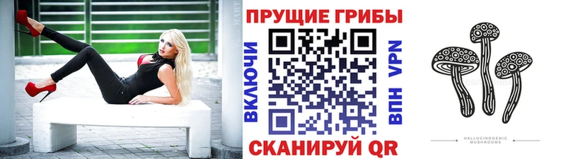 Псилоцибиновые грибы Cubensis  где можно купить наркотик  Петровск 