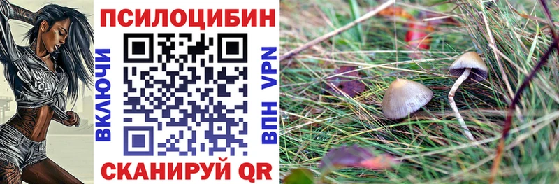 Псилоцибиновые грибы Psilocybe Петровск